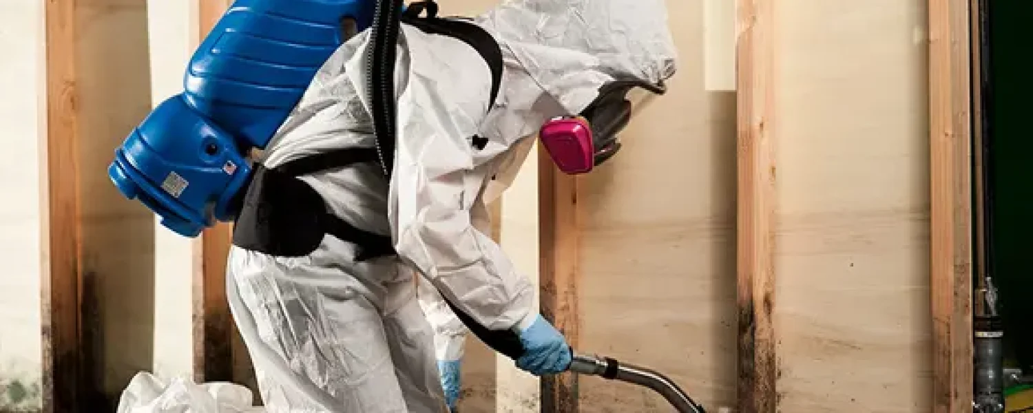 Water damage restoration Brisbane experts at work